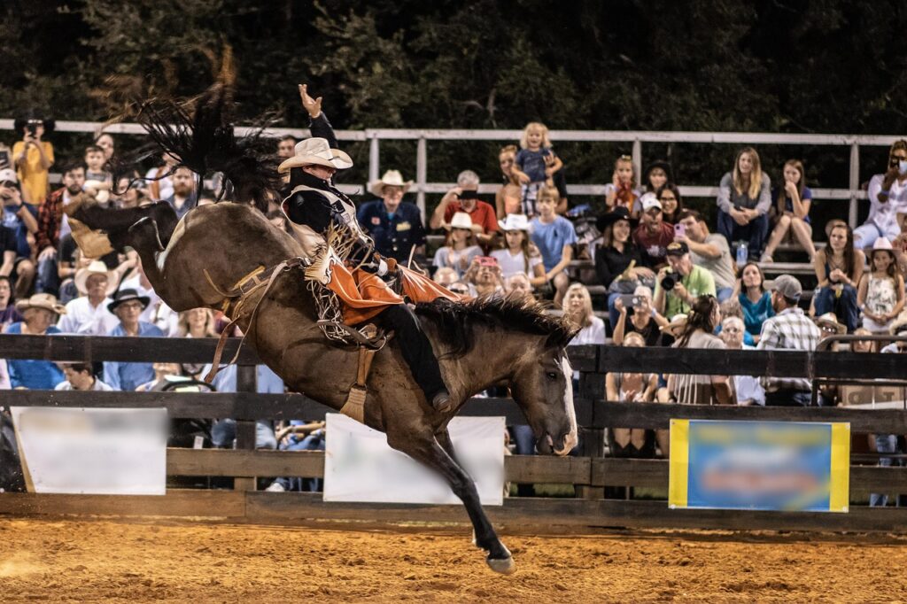 rodeo