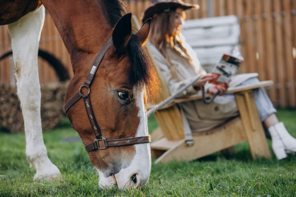 Horse in garden