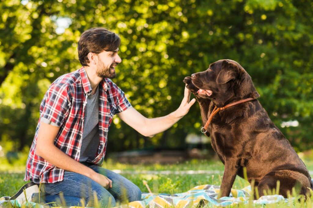 person with rottweiler