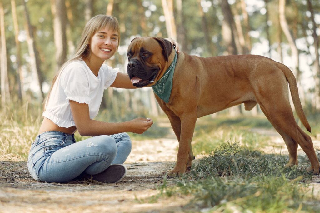 bullmastiff with woman
