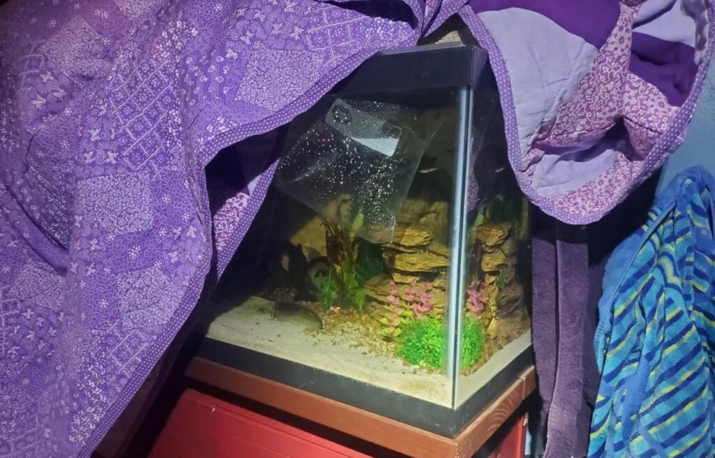 Small tank partly covered with purple blanket.