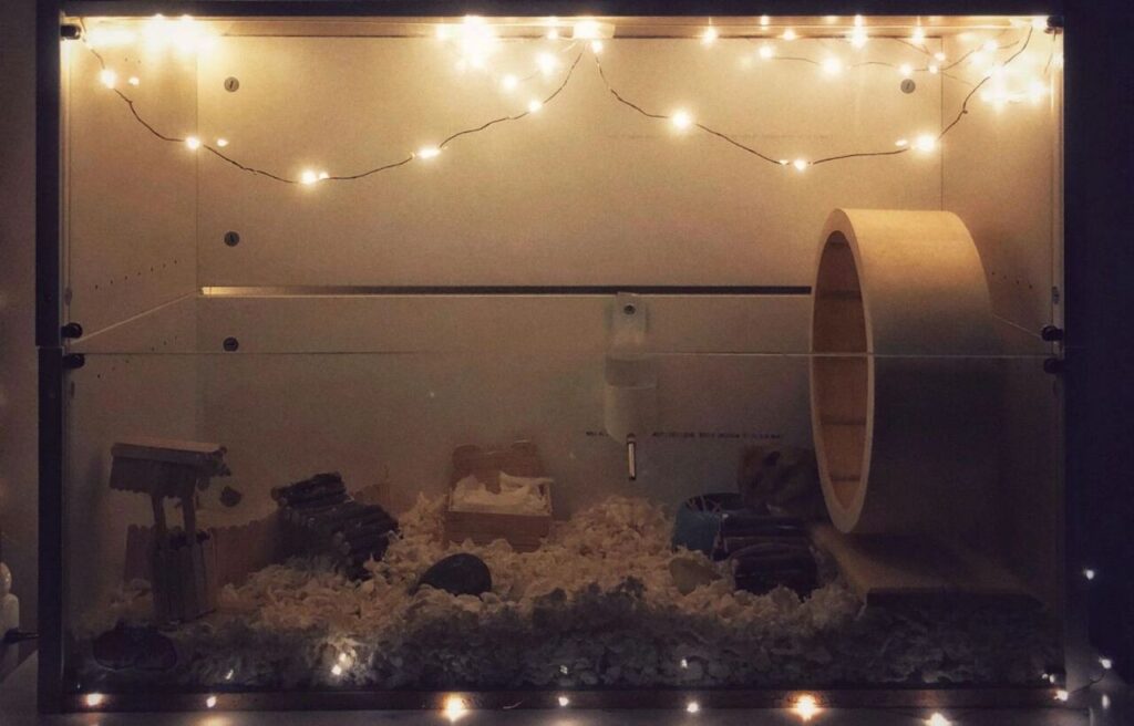 Hamster enclosure with fairy lights and cozy interior.