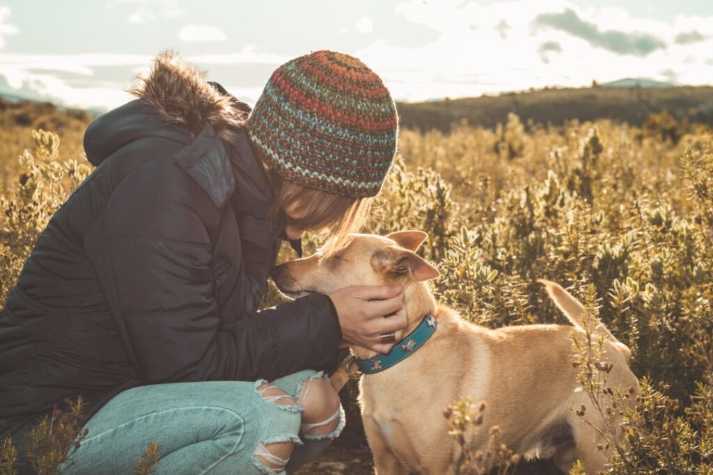 Dog help reduce human stress