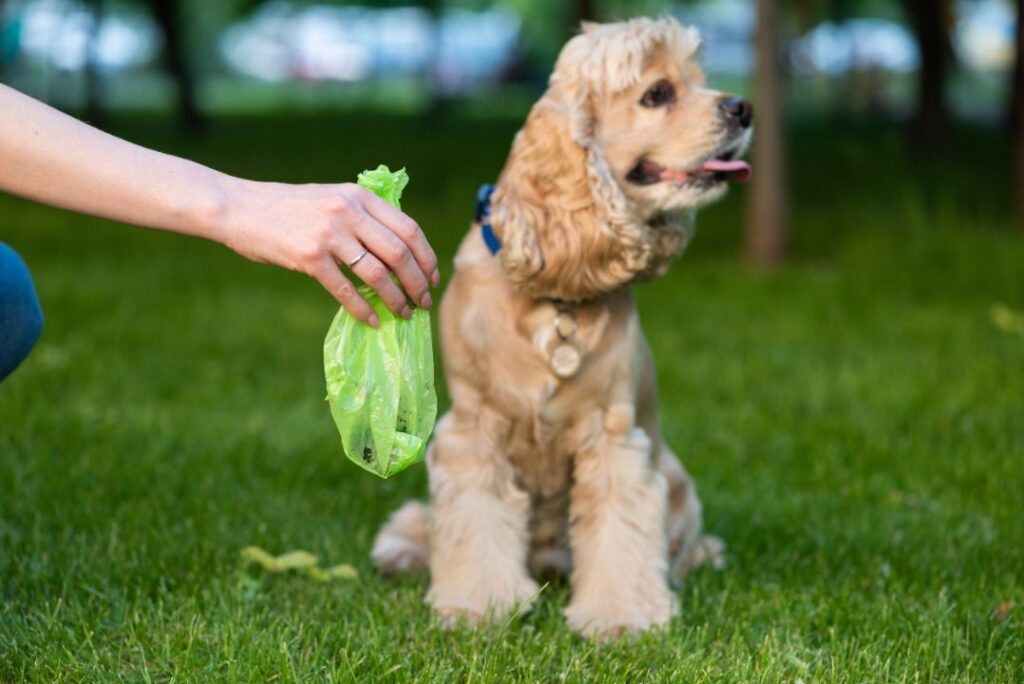 Biodegradable Waste Bags/dog poop bag