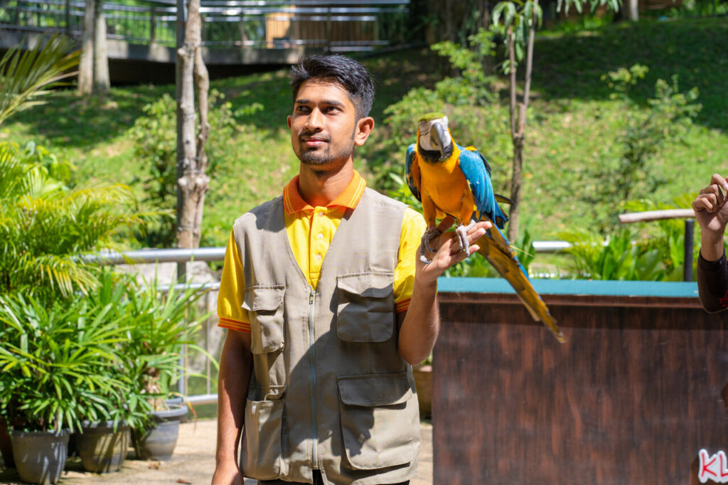 Play Favorite Sounds and Words on Repeat with parrot