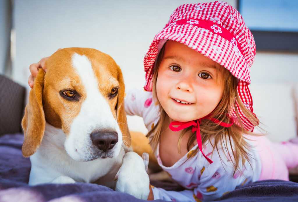 Dogs Aren’t Toys—They Need Respectful, Gentle Handling