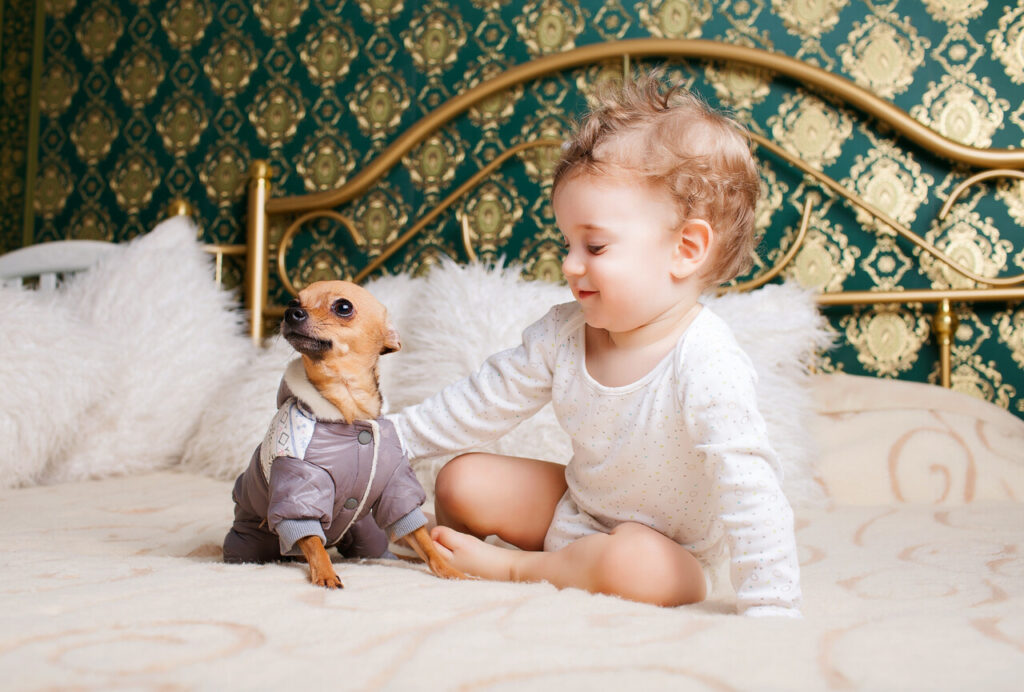 Loud and Busy Kids Make It Hard for Dogs to Recharge