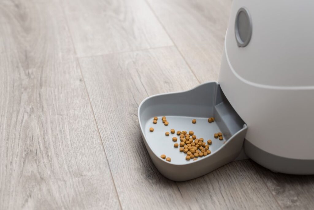 Dog automatic feeder