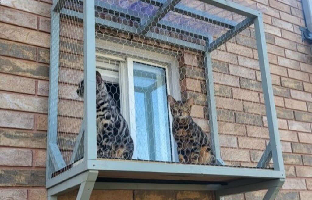 Two cats sitting in a window catio.