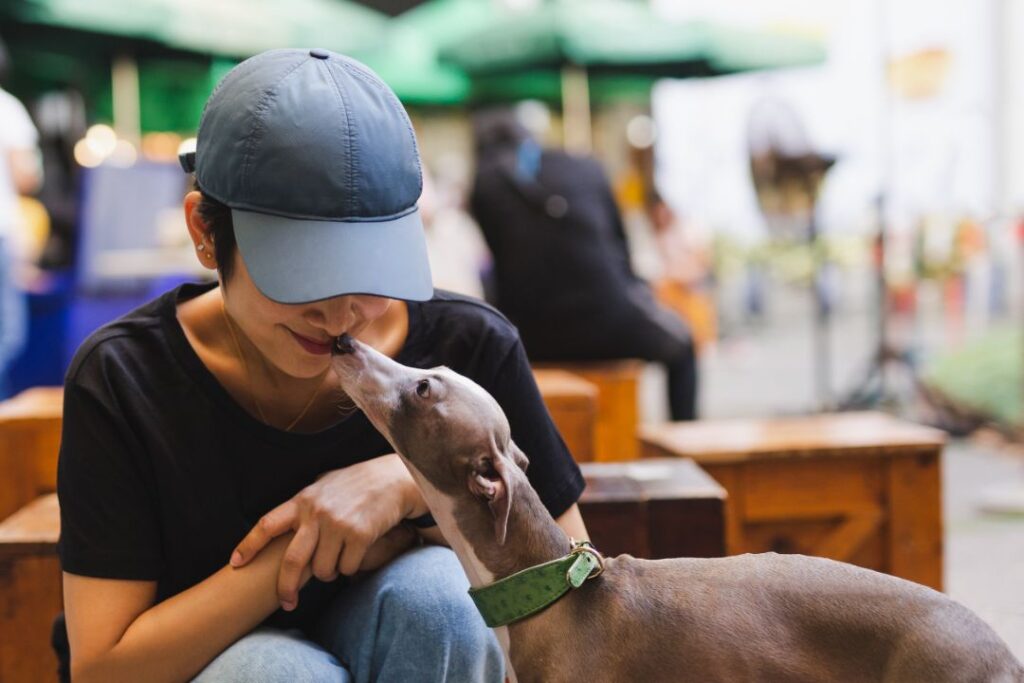 Dogs have remarkable sense of smell