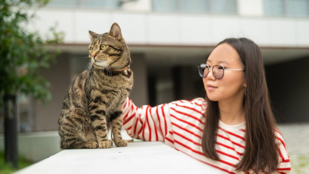 Cat hyper attachment with owner