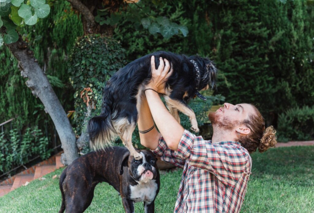 Dog Socialise