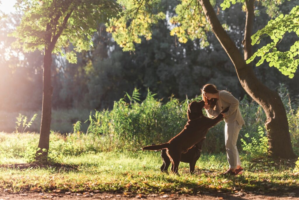 Dog Park