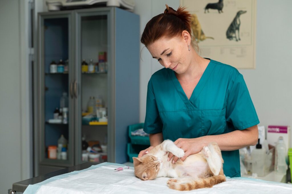 Cat Clinic