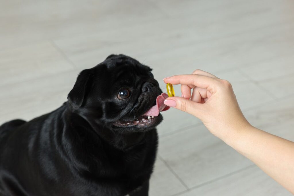 Dog Joint Supplement