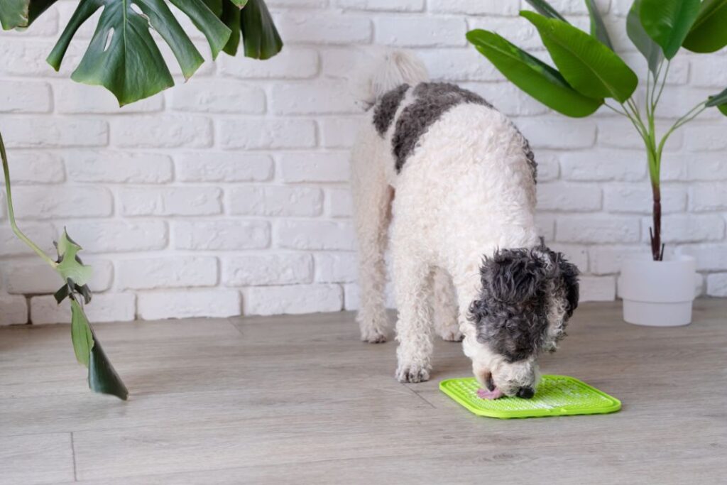 Dog sniffle mat
