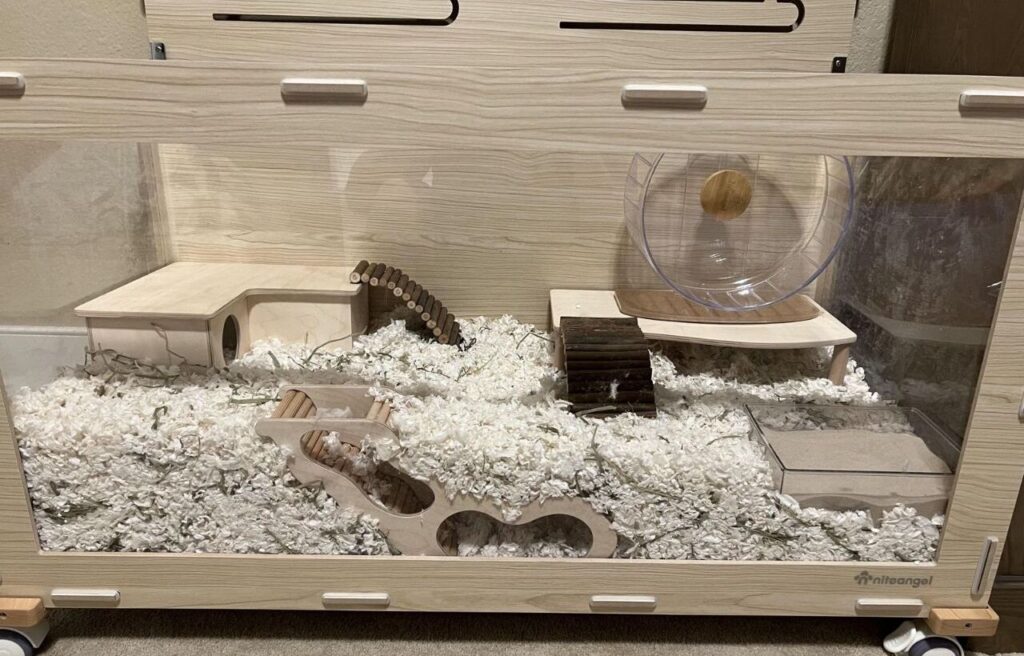 Modern hamster cage setup with bedding, wheel, and toys.