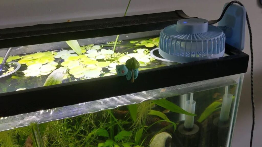 Planted tank with floating leaves and a mini fan.
