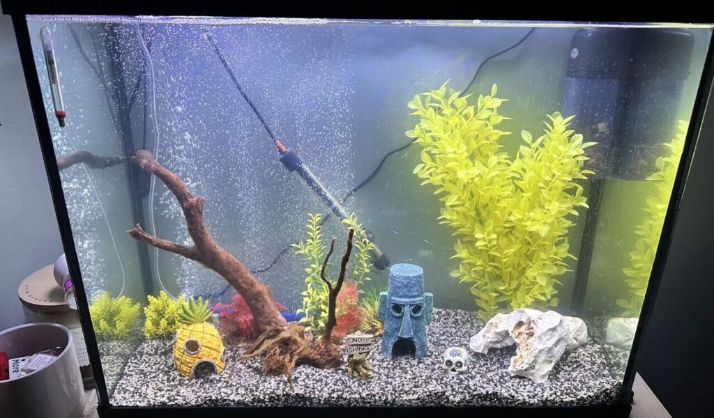 Decorated aquarium with SpongeBob-themed ornaments.
