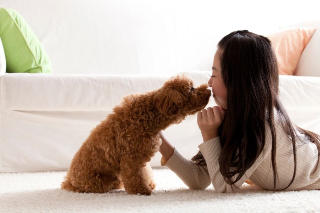 Study Finds That Dogs Can Smell Stress in Human Sweat (And How it Affects Them)