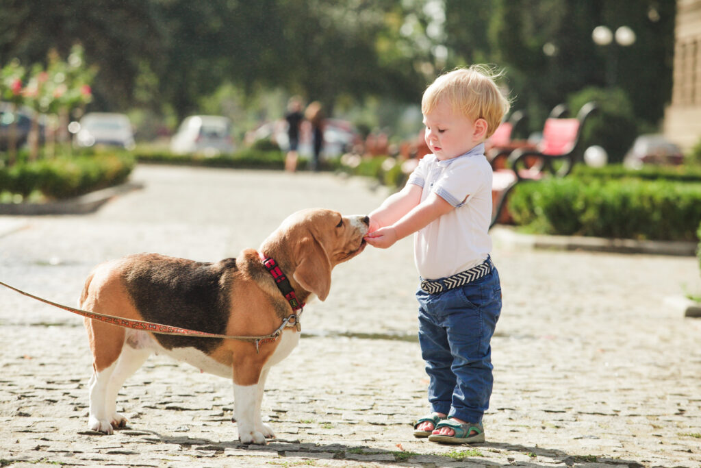 10 Thoughtful Reasons Why You Shouldn’t Adopt a Dog for Kids Under 10 Years Old