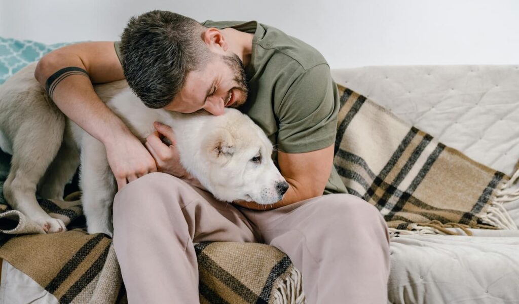 Man hugging white dog on couch