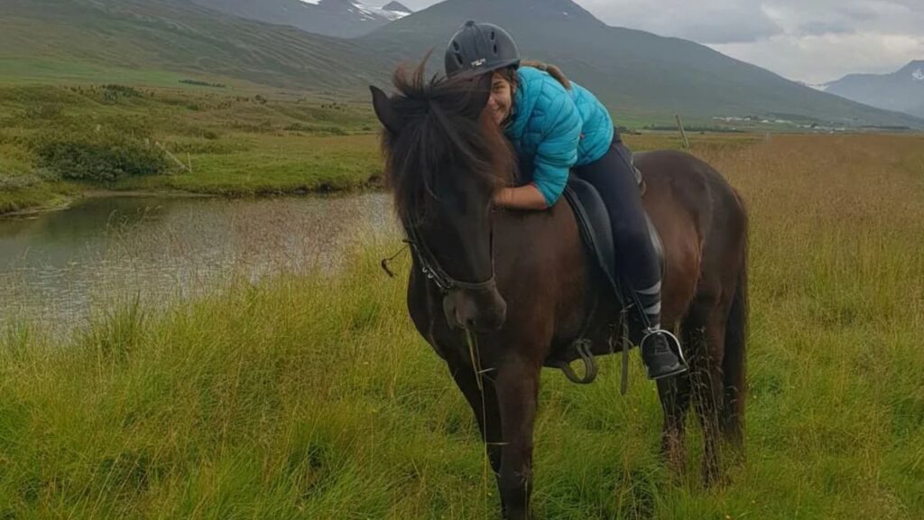 Icelandic Horse