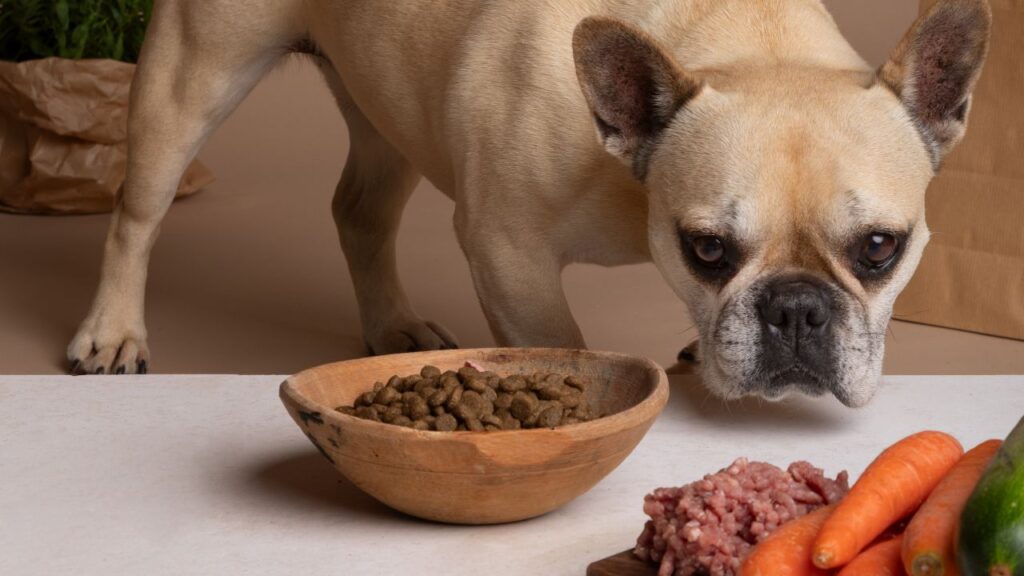 Dog Diet
