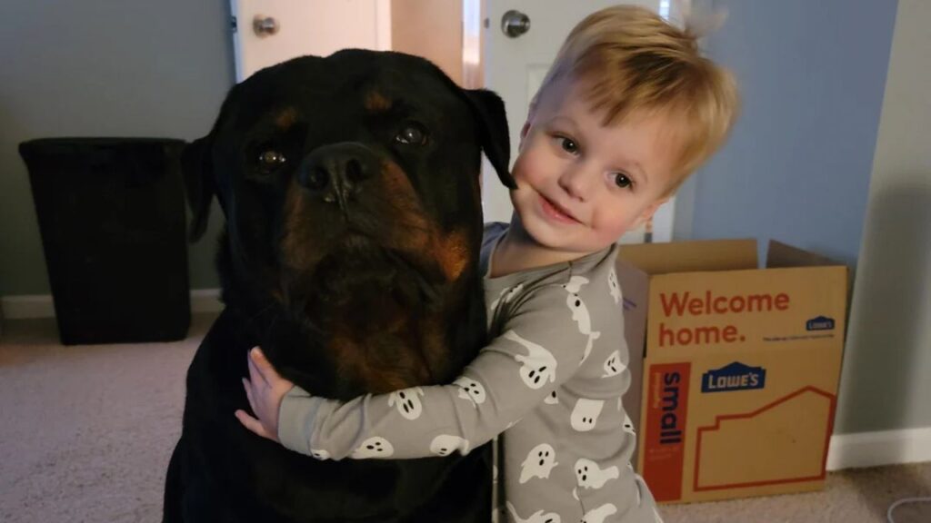 Rottweiler With KIds