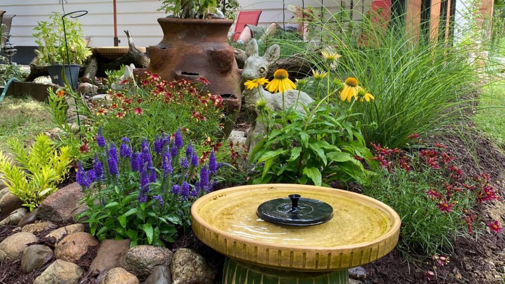 Bird-Friendly Backyard Oasis