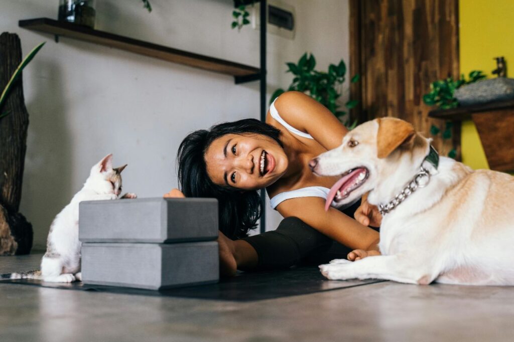 Cat and dog