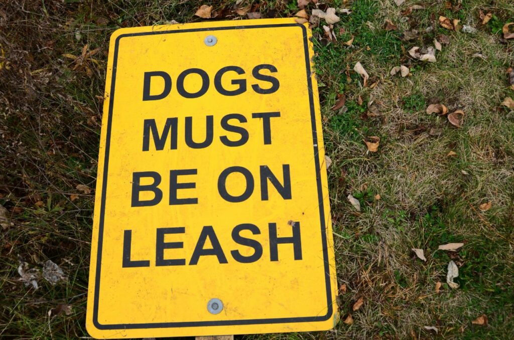Dog leash signboard