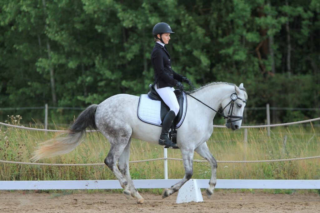 Girl riding Horse
