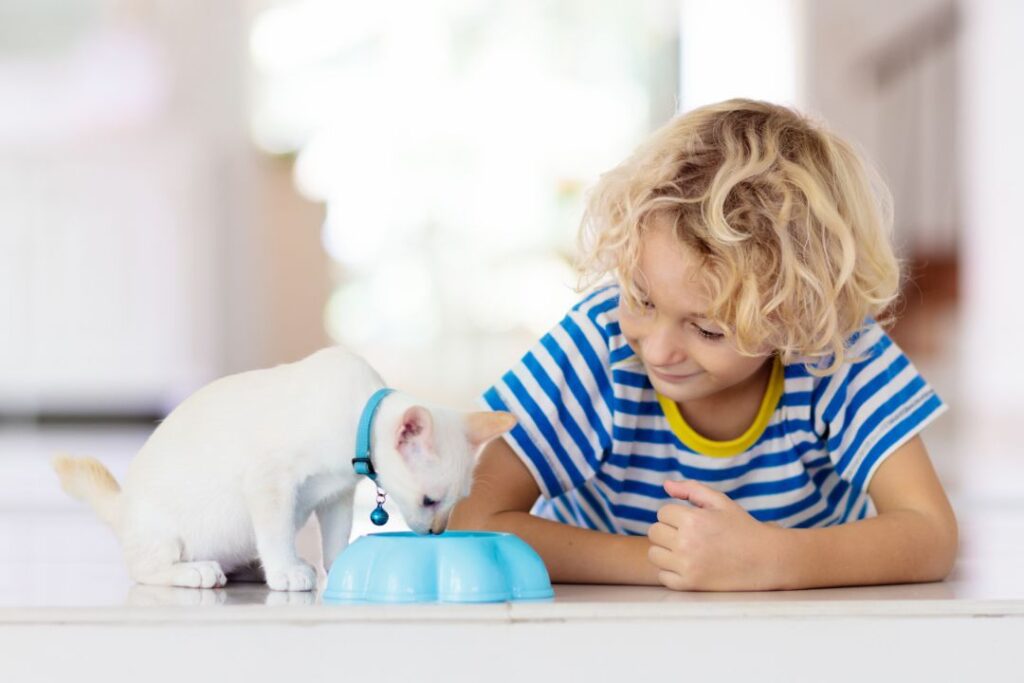 Begin socialization early with kittens