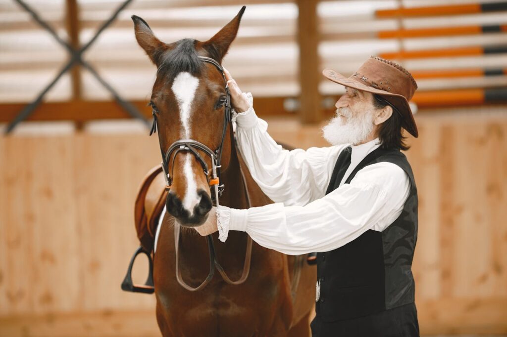 American Quarter Horse