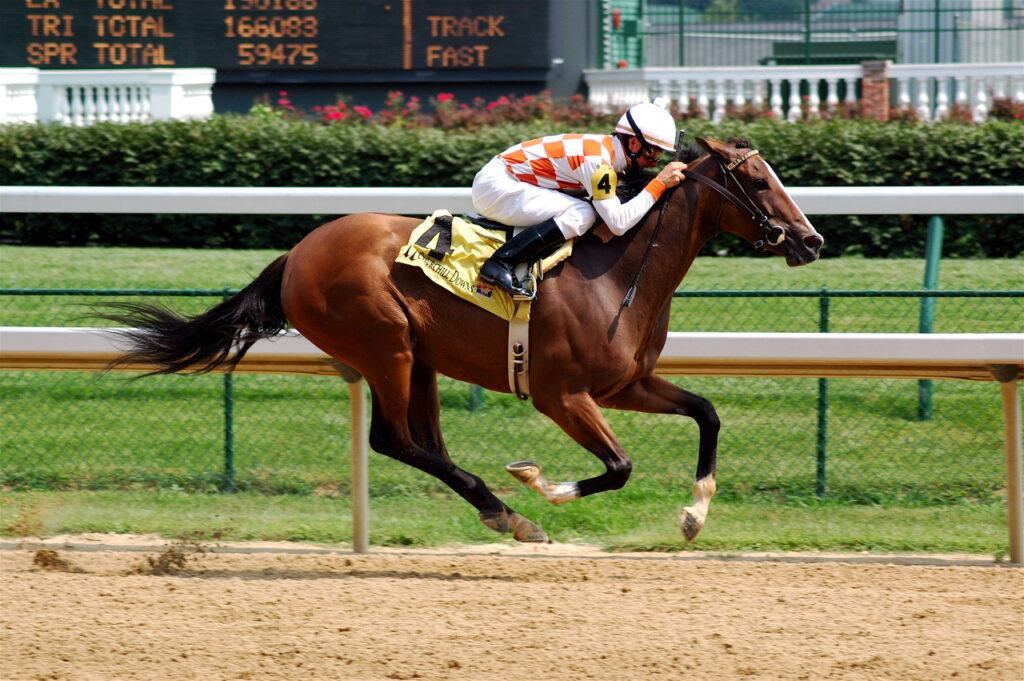 thoroughbred-2