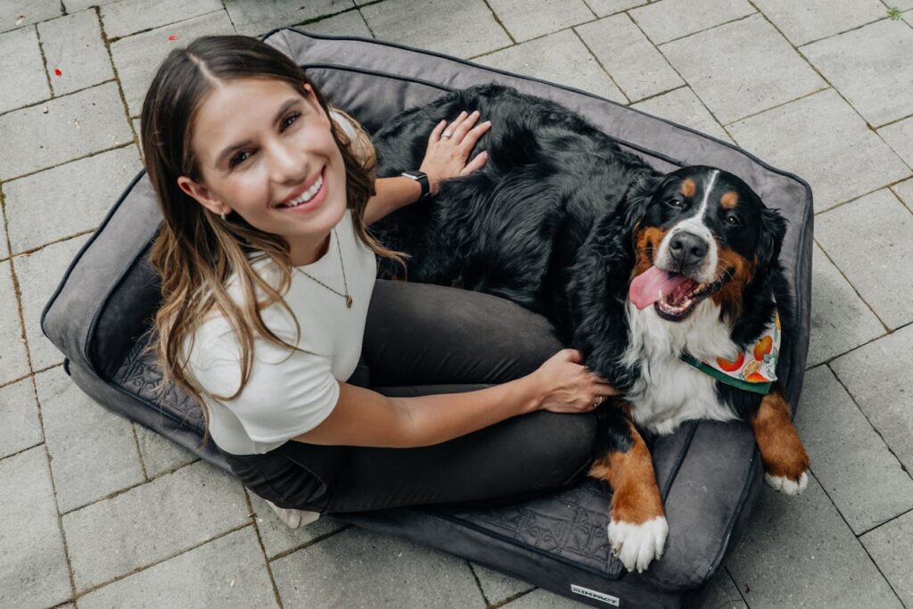 Bernese Mountain Dog with Owner