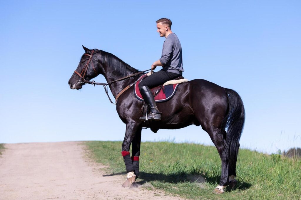 10 Actionable Tips to Strengthen Your Horse's Core Muscles