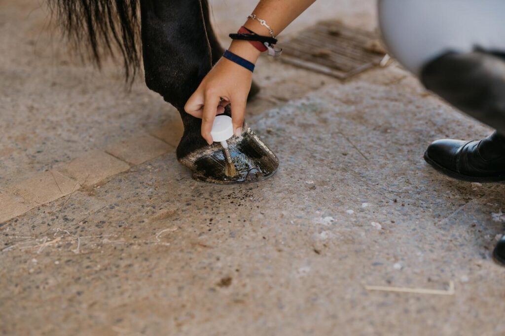 Hoof Walls That Flake or Peel