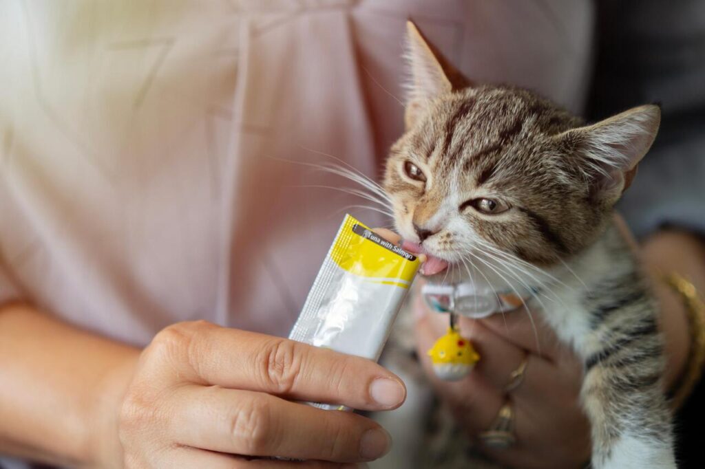 Cat SAMe (S-Adenosylmethionine) supplement for Liver and Mood