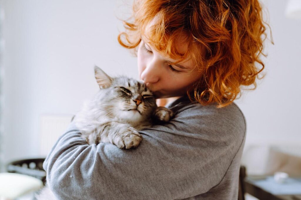 Repect cat healing timeline