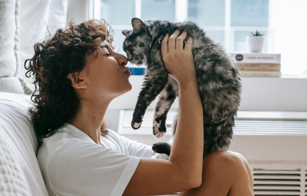 Charming woman kissing cute cat in bedroom