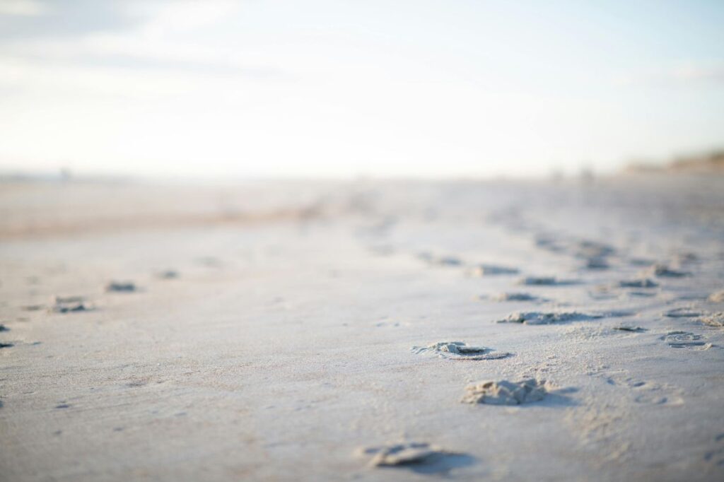 Paw prints on sand