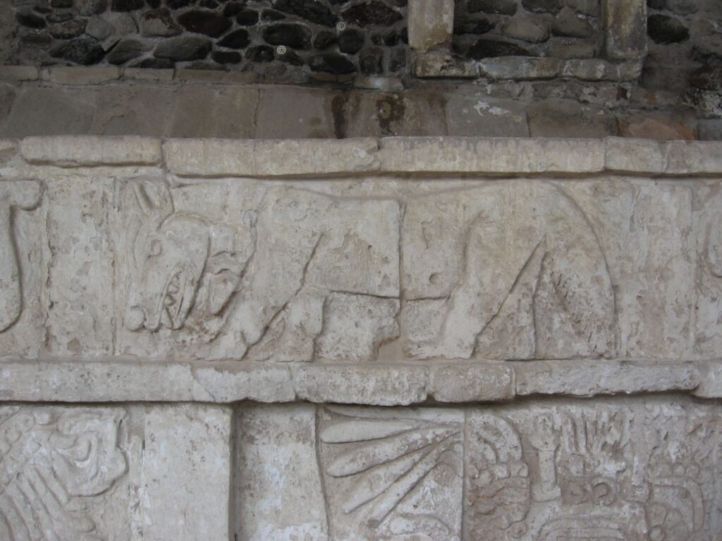 Pictograph of coyote