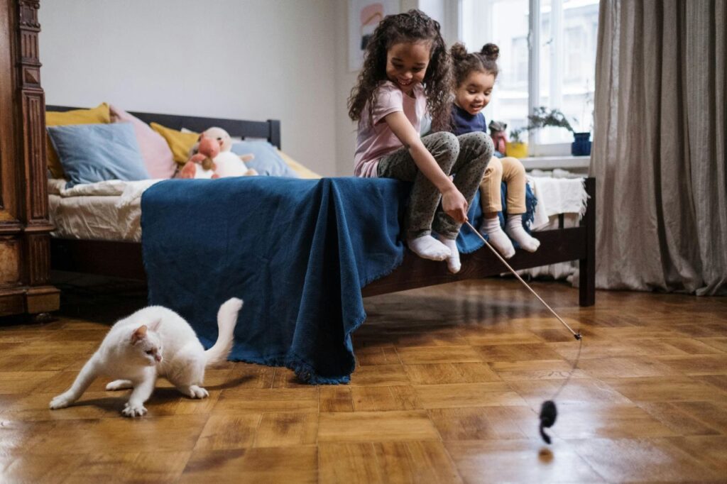 Playful Cat