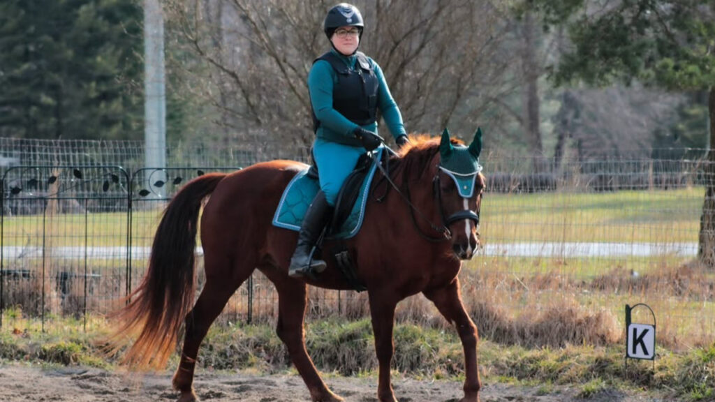 Gaited horse with rider