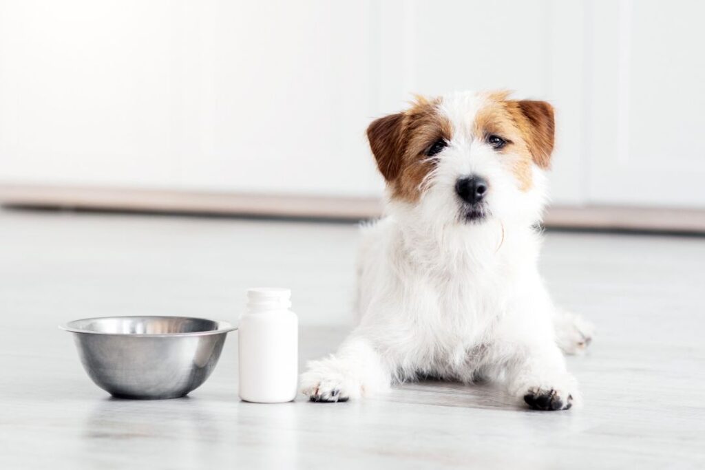 Puppy Specific Formulas