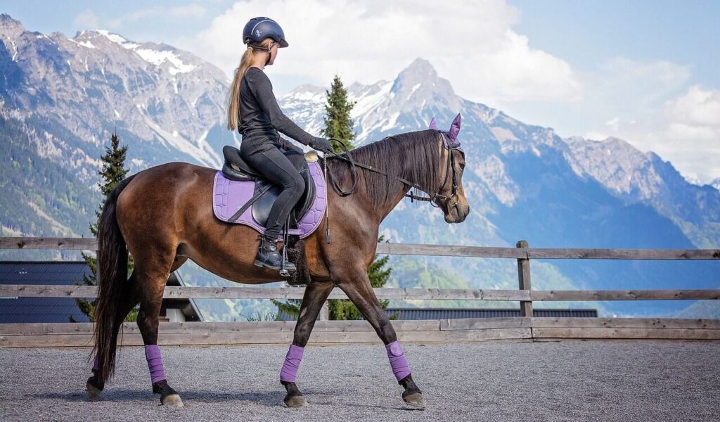Person riding a horse with purple tack in a mountain arena.