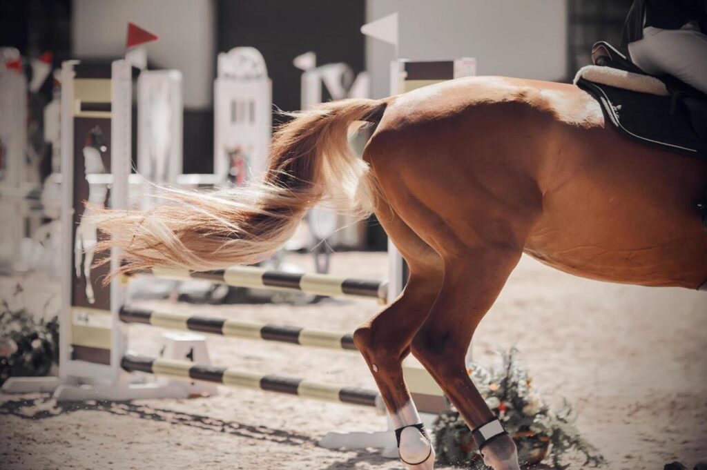 Horse tail pulls