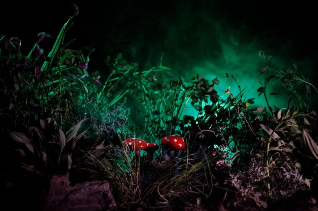 Toxic Houseplants Can Poison Birds